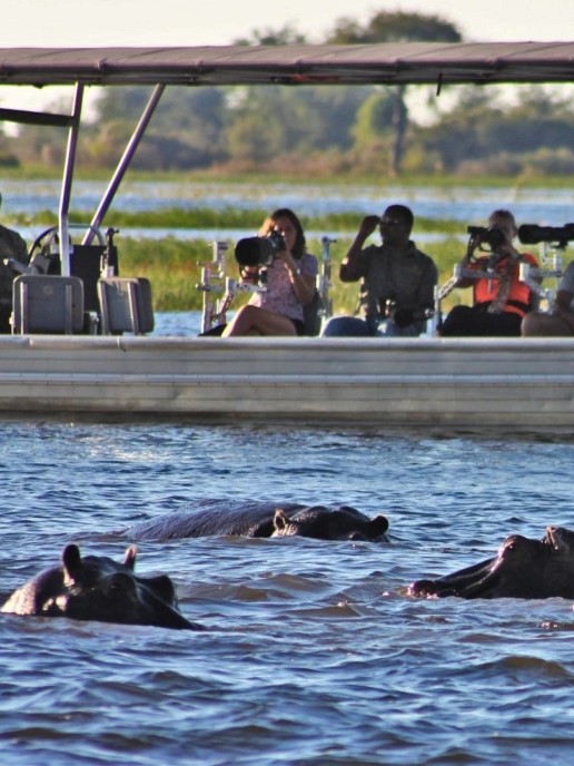 Boating with snapshot tours and safaris