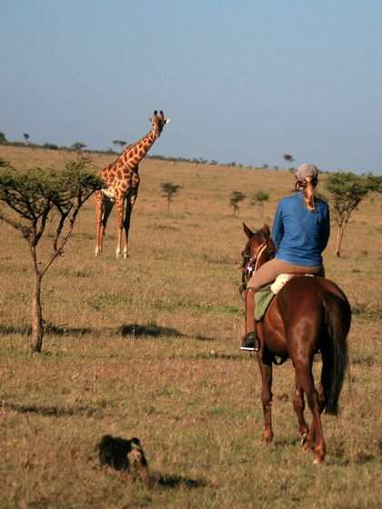 Horse Back Safaris with snapshot tours and safaris