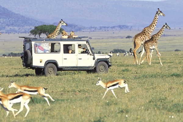 Snapshot Tours and Safaris 3 days/2 nights