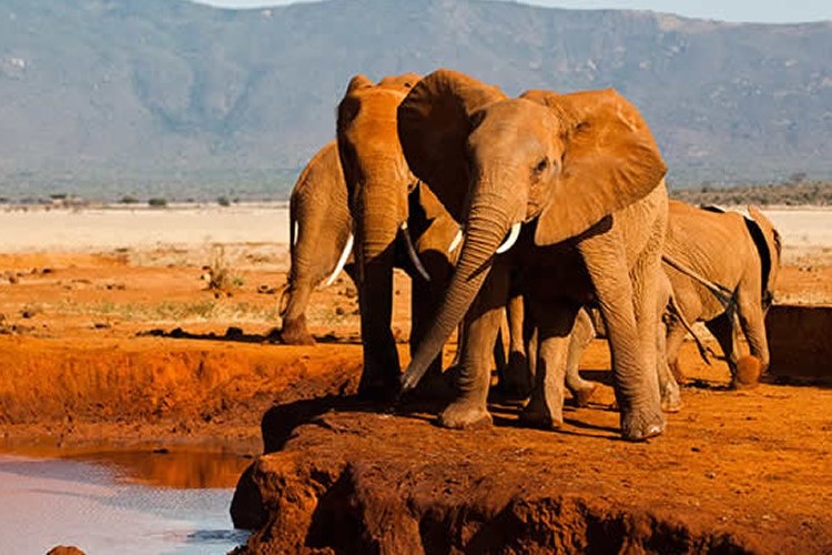 Tsavo East - 7 Days 6 Nights