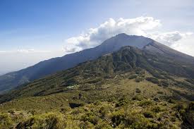 A view of Meru National Park