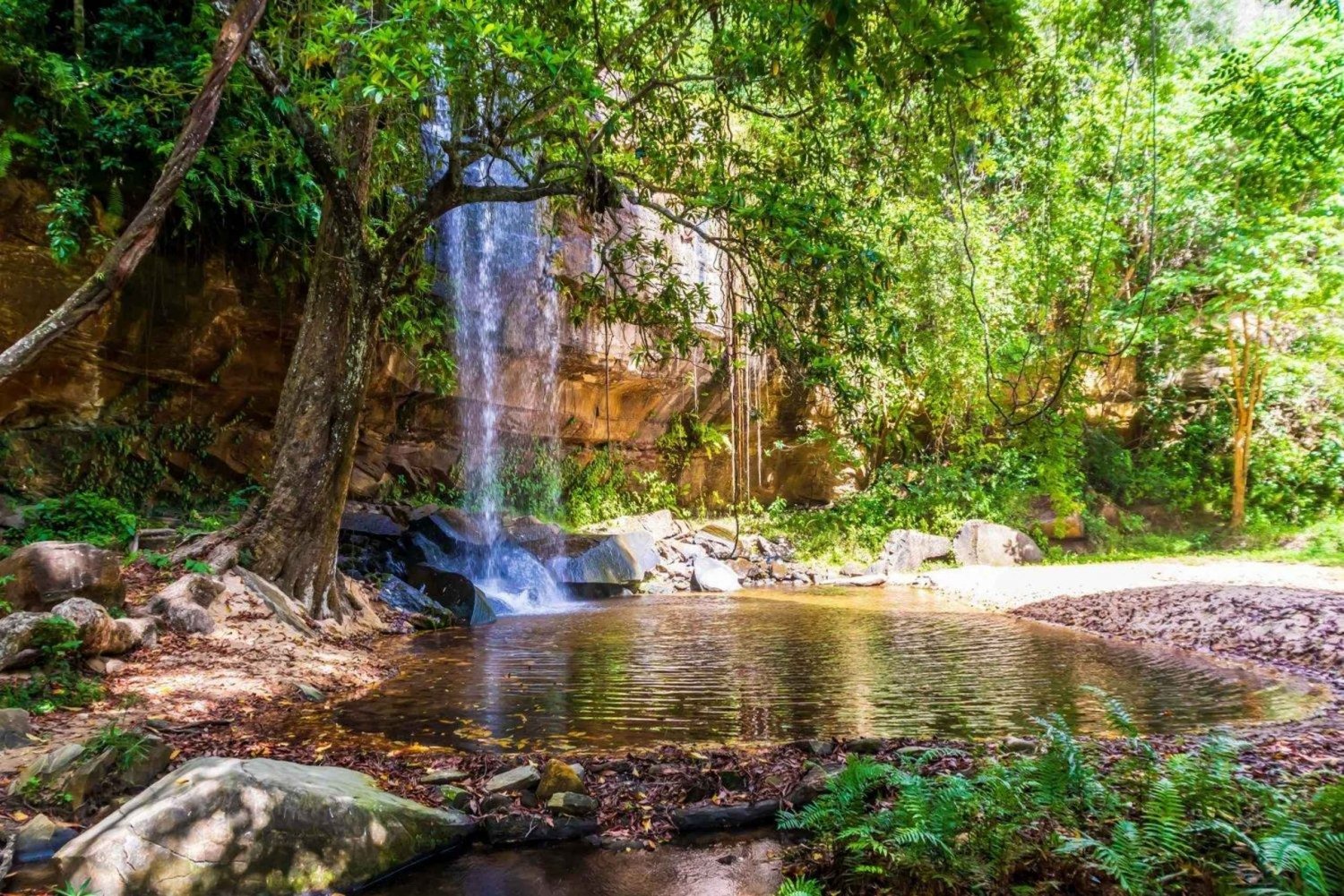 A view of Shimba Hills National Reserve