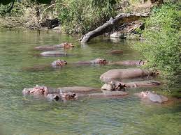 Tsavo West National Park