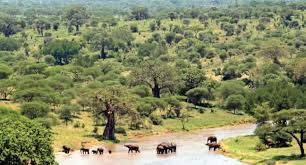 Tarangire National Park