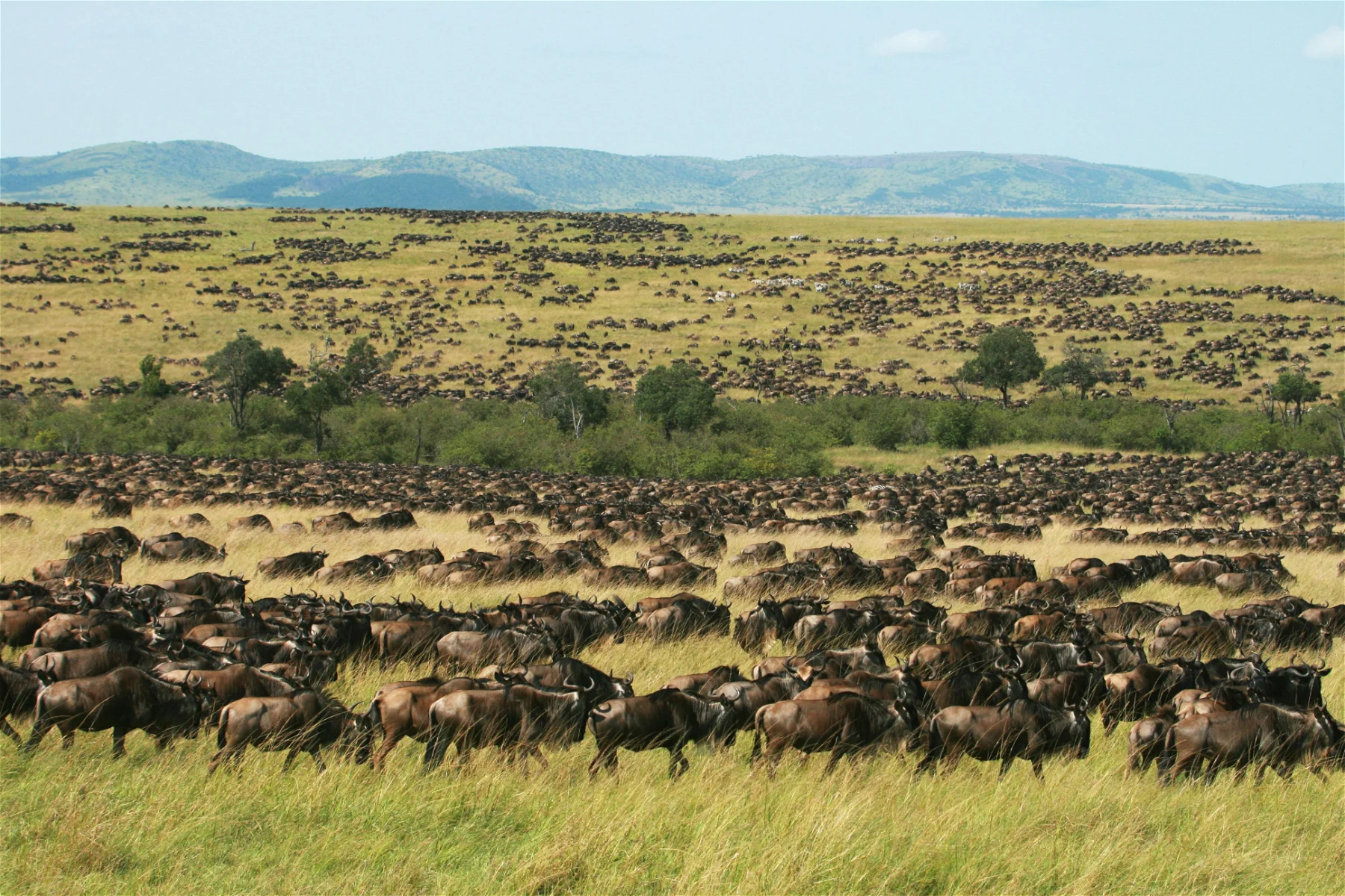 MASAI MARA NATIONAL PARK