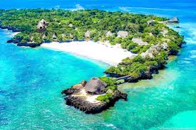 A view of Wasini Island